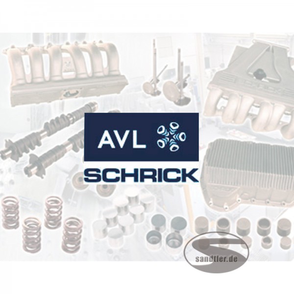 Schrick nokkenas VW 16v kleine blok (inlaat variabel) 256gr